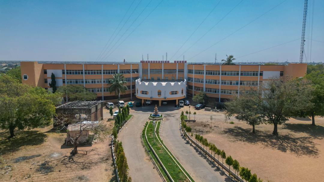 Illegal mass felling of trees ongoing at Kano government-owned institution – Report