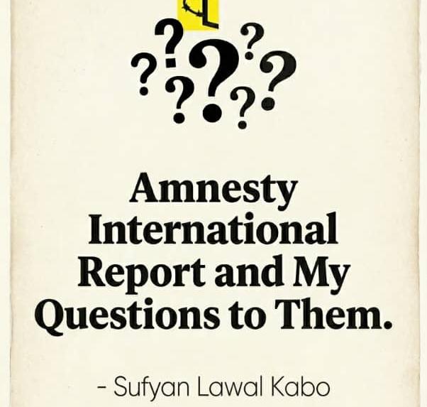 Amnesty International Report and My Questions to Them – Sufyan Lawal Kabo