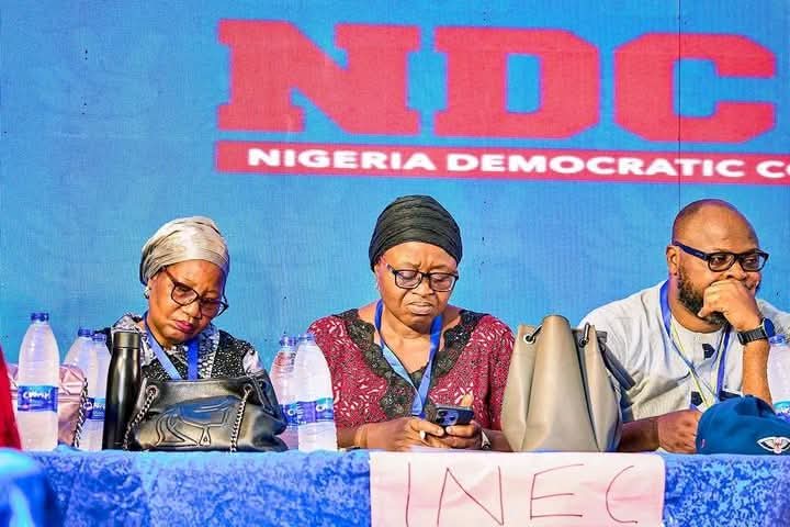 INEC Attendance at NDC Convention Ends Registration Speculation