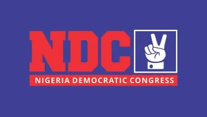NDC Fixes Presidential Form at N60m Ahead of 2027 Elections