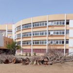 ARTV denies mass tree felling allegations as ‘The Historica Nigeria’ stands by report