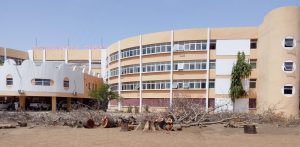 ARTV denies mass tree felling allegations as ‘The Historica Nigeria’ stands by report