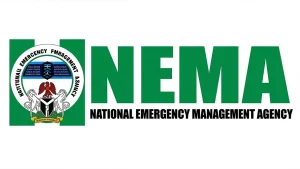 NEMA warns 178 Kano communities of flood risk, lists 28 vulnerable LGAs